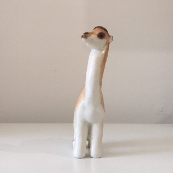 Lomonosov Camel 🐪 - Picture 2 of 6